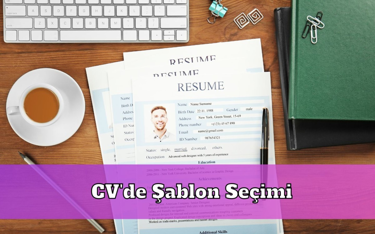 CV’de Şablon Seçimi