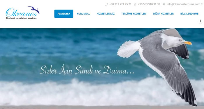 İspanyolca çeviri yaparken dikkat edilmesi gereken noktalar nelerdir?