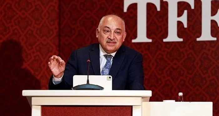 Yeni Malatyaspor'dan sonra Adanaspor da ligden çekiliyor
