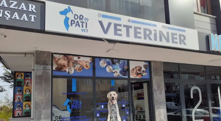 Veteriner Üsküdar'da Sadece Hastalıkta Değil, Her Zaman Yanınızda